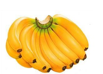 葡萄润肺香蕉补脑 平凡水果治疗小疾病